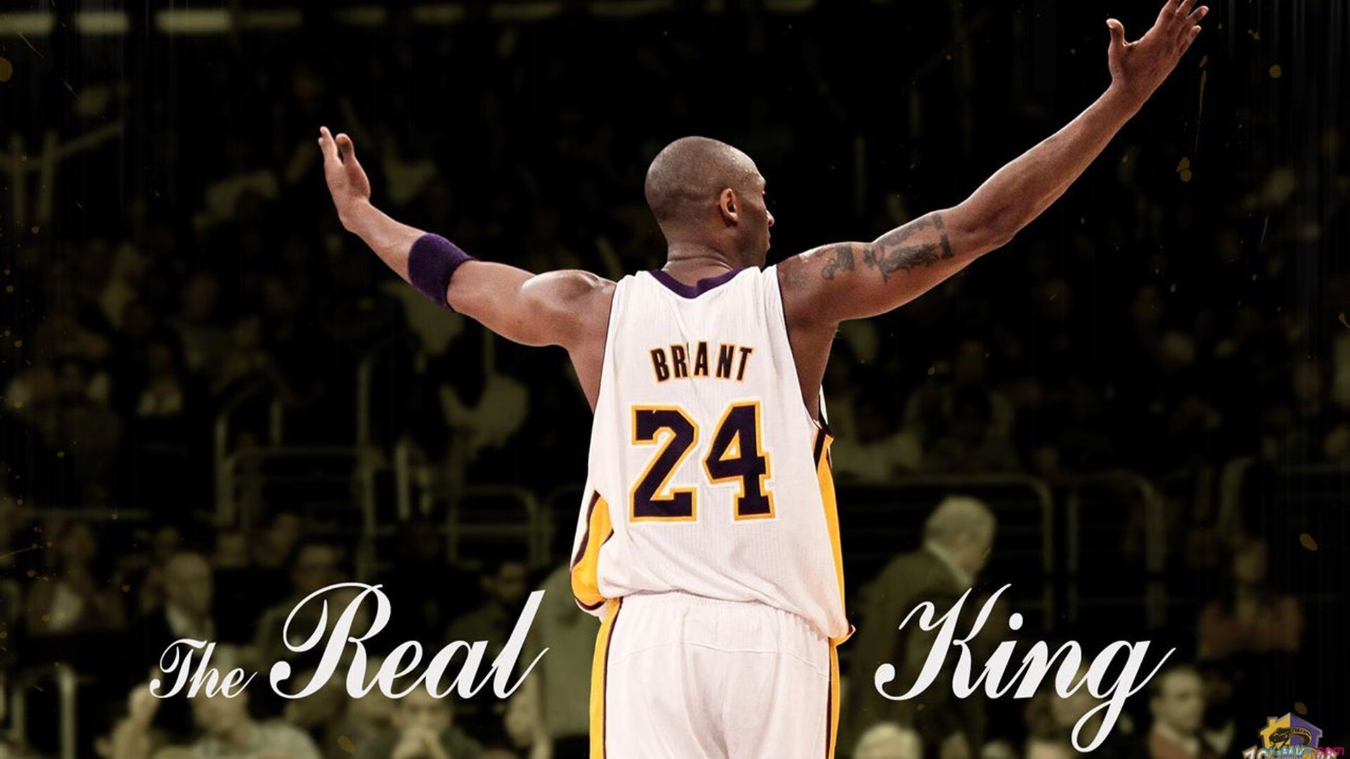 米兰MILAN电竞APP下载-《PUBG Mobile》跨国联赛冠军名花有主，pubg china no.1